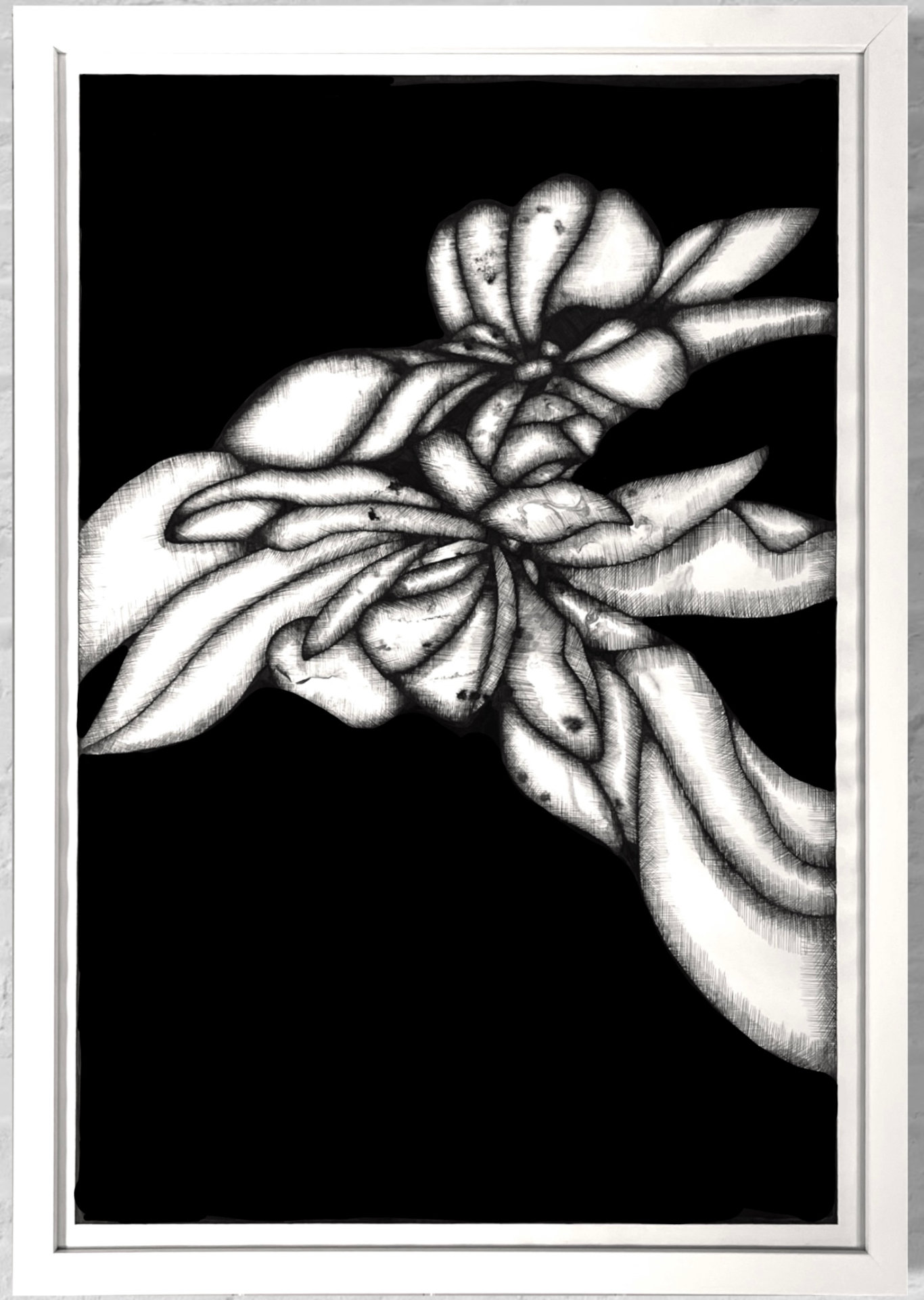 Black and white drawing of flower