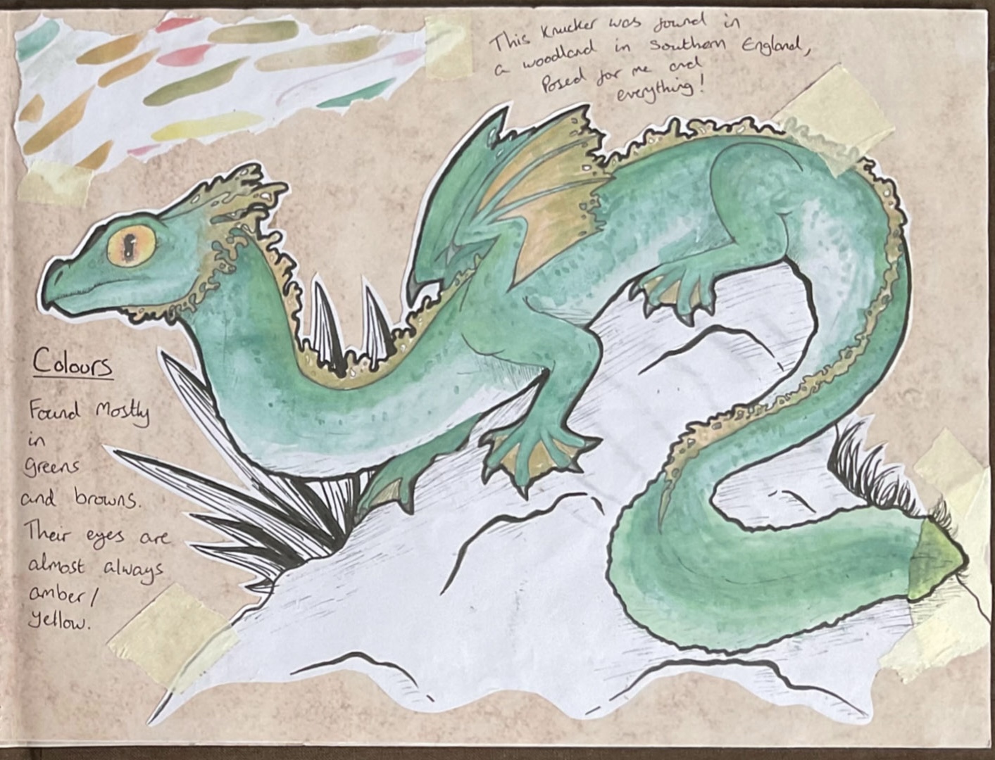 Illustration of gecko-like dragon