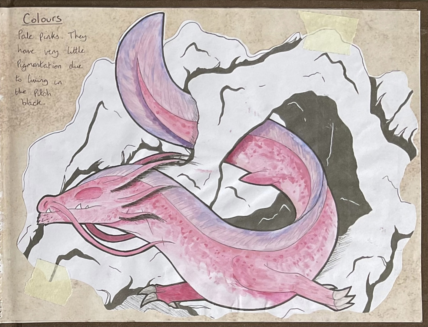 Illustration of olm-like dragon