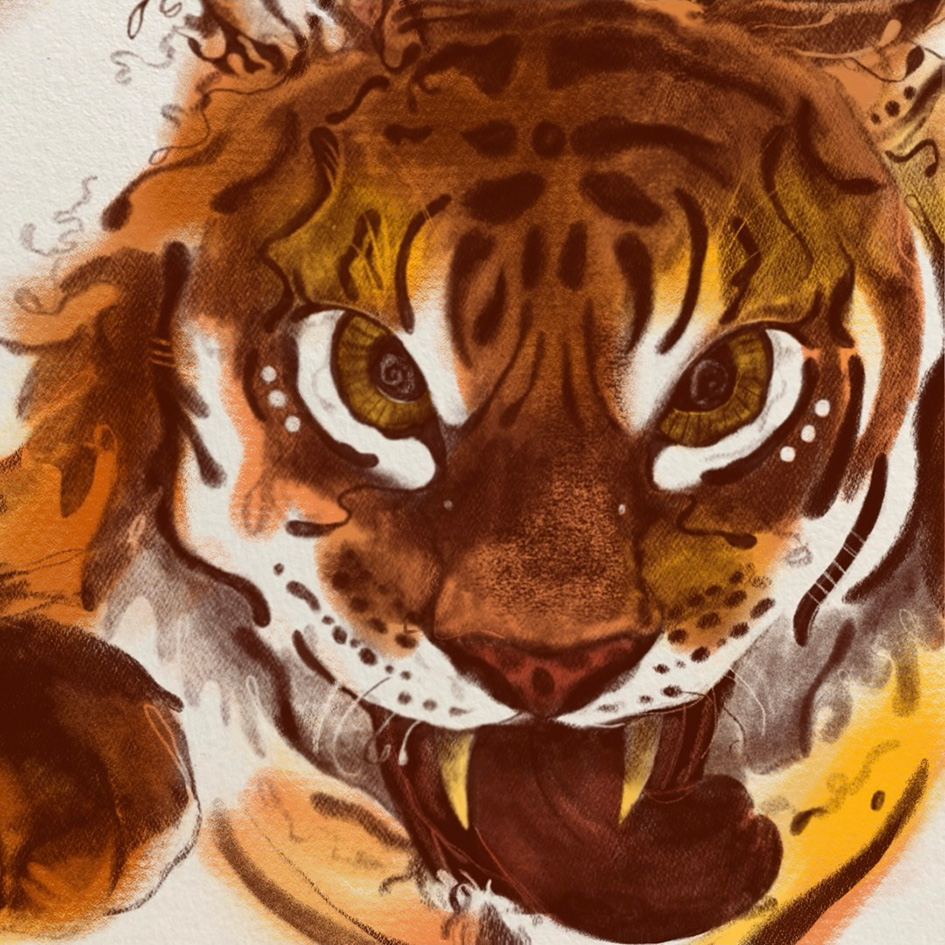 Illustration of tiger's face