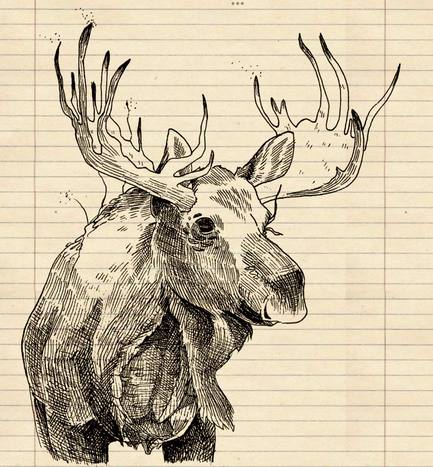 Illustration of infected moose