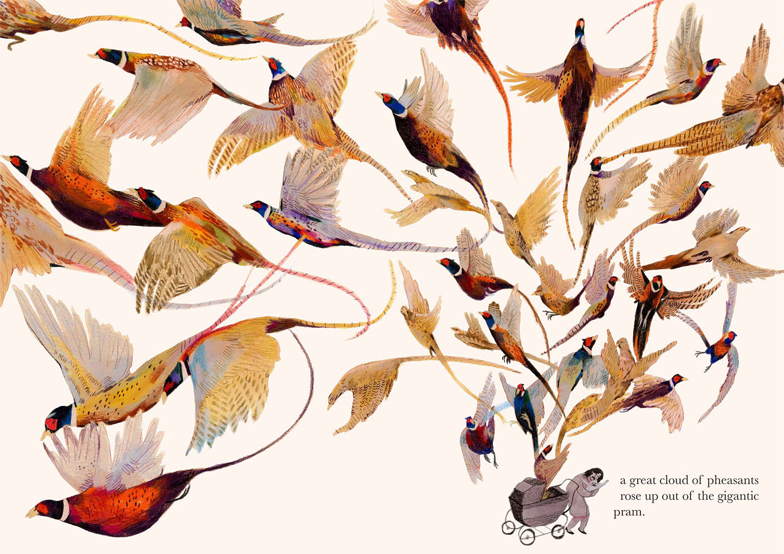 Illustration of many pheasants flying out of pram