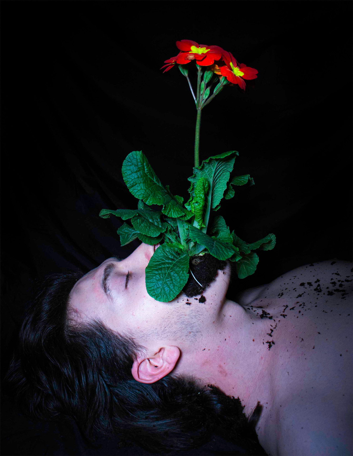 Photo of man lying down and holding flowering plant in mouth