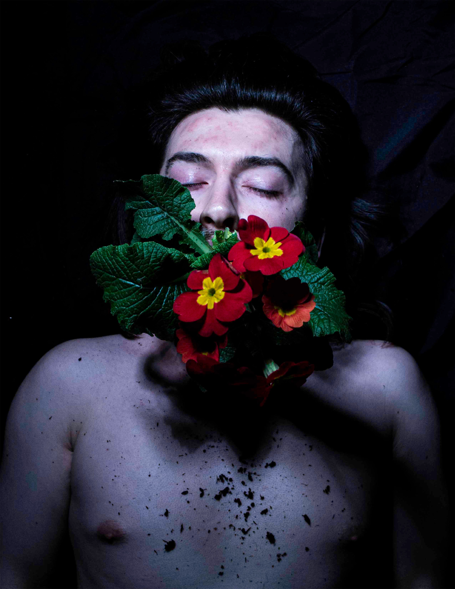 Photo of man holding flowering plant in mouth
