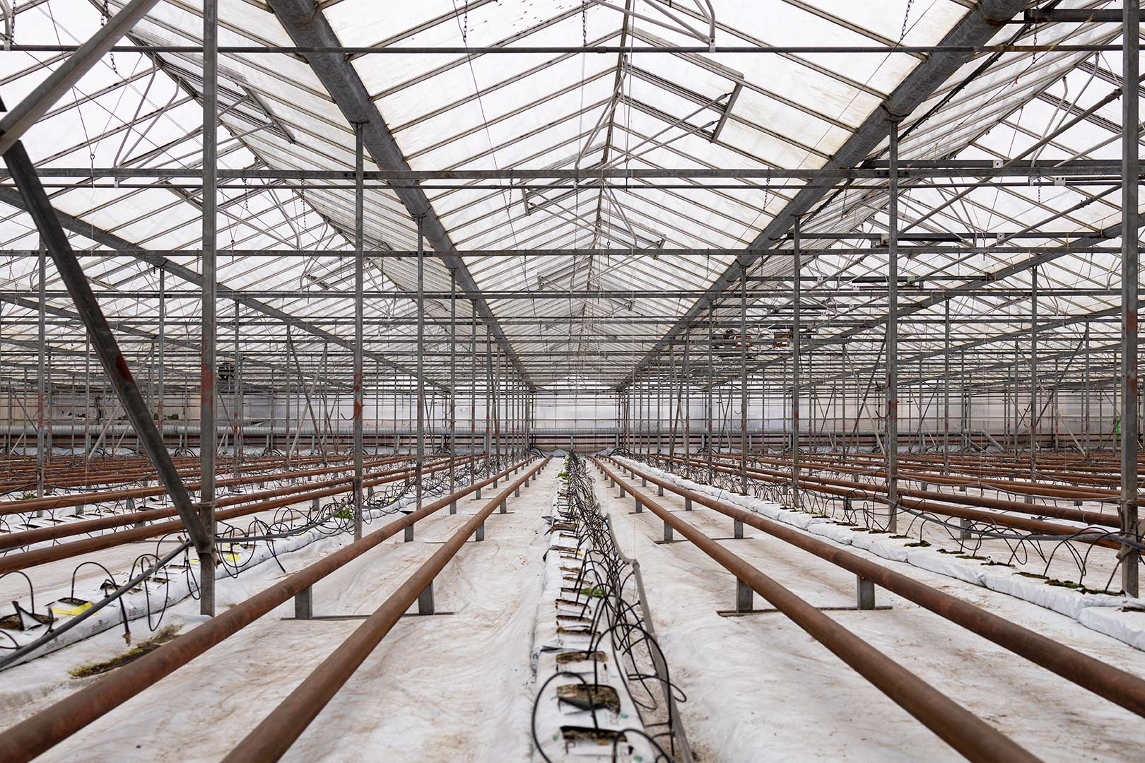 Photo of empty greenhouse