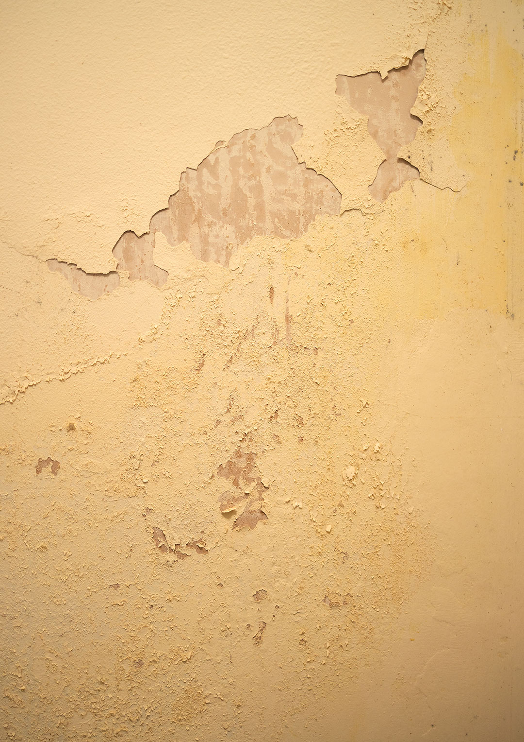 Photo of cracked and flaking plaster on wall
