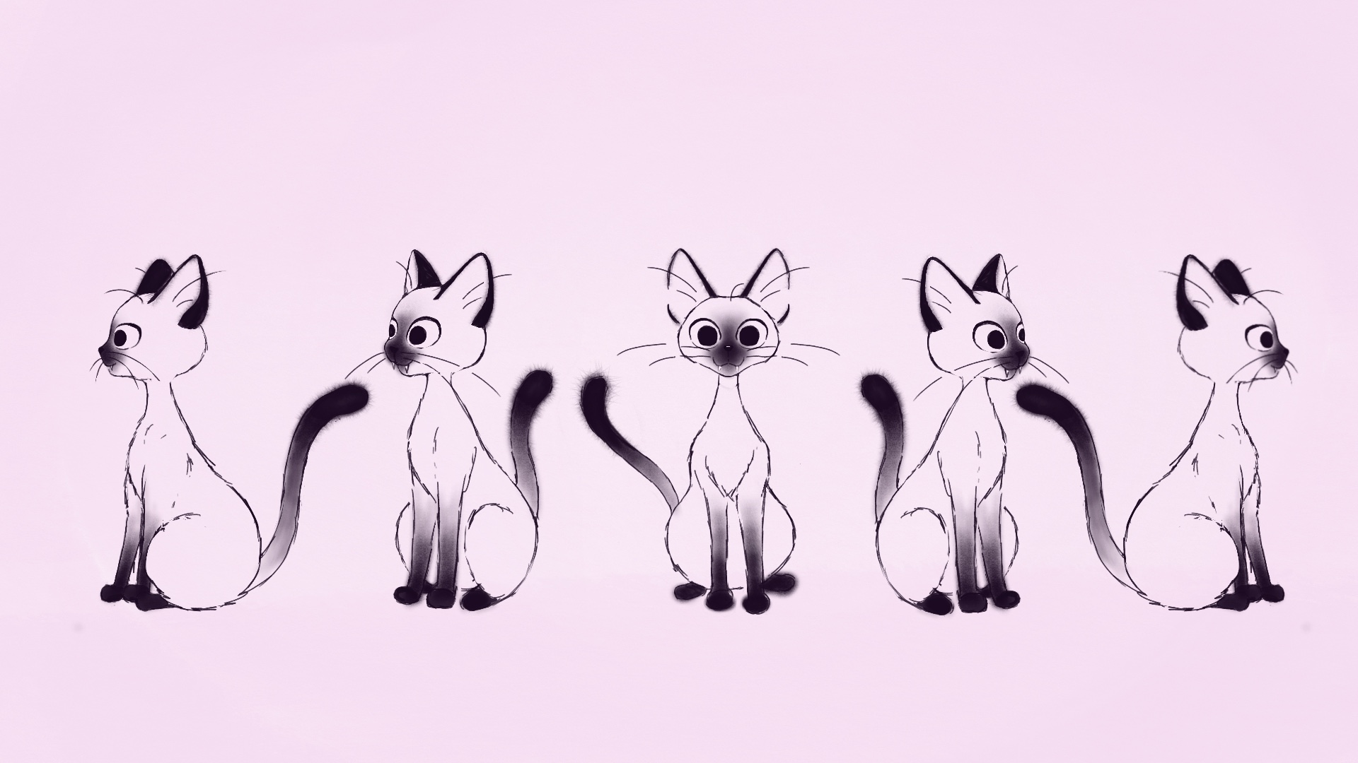Five illustrations of Siamese cat from different angles
