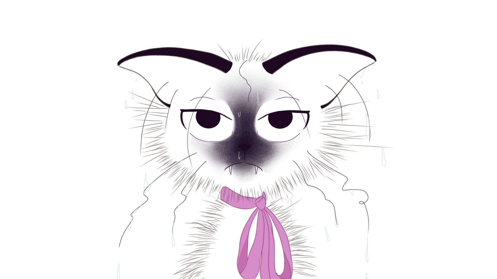 Illustration of wet Siamese cat looking aggrieved