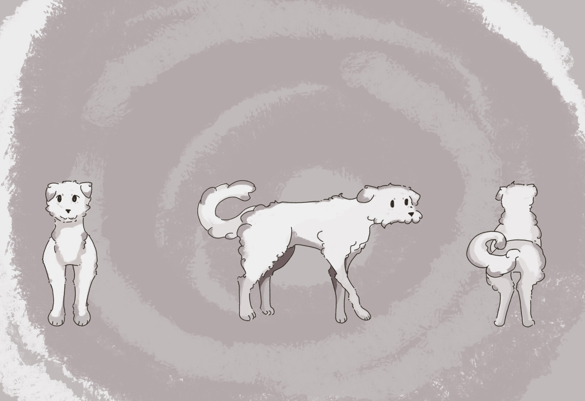 Illustrations of dog from three different angles