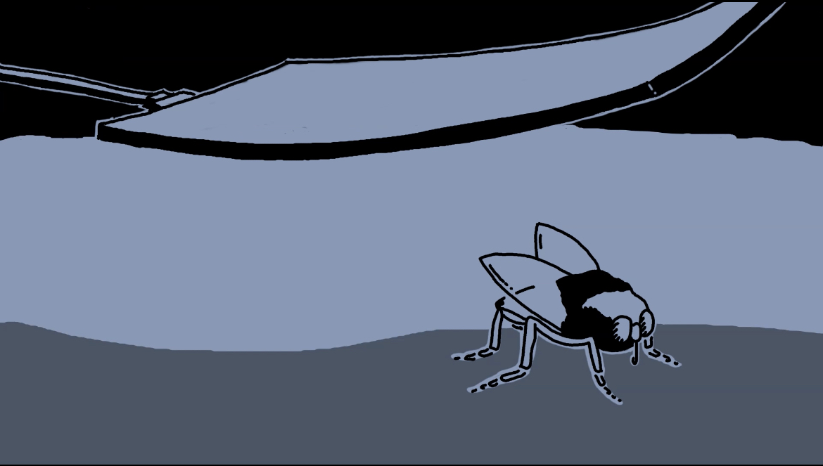 Monochrome illustration of a fly