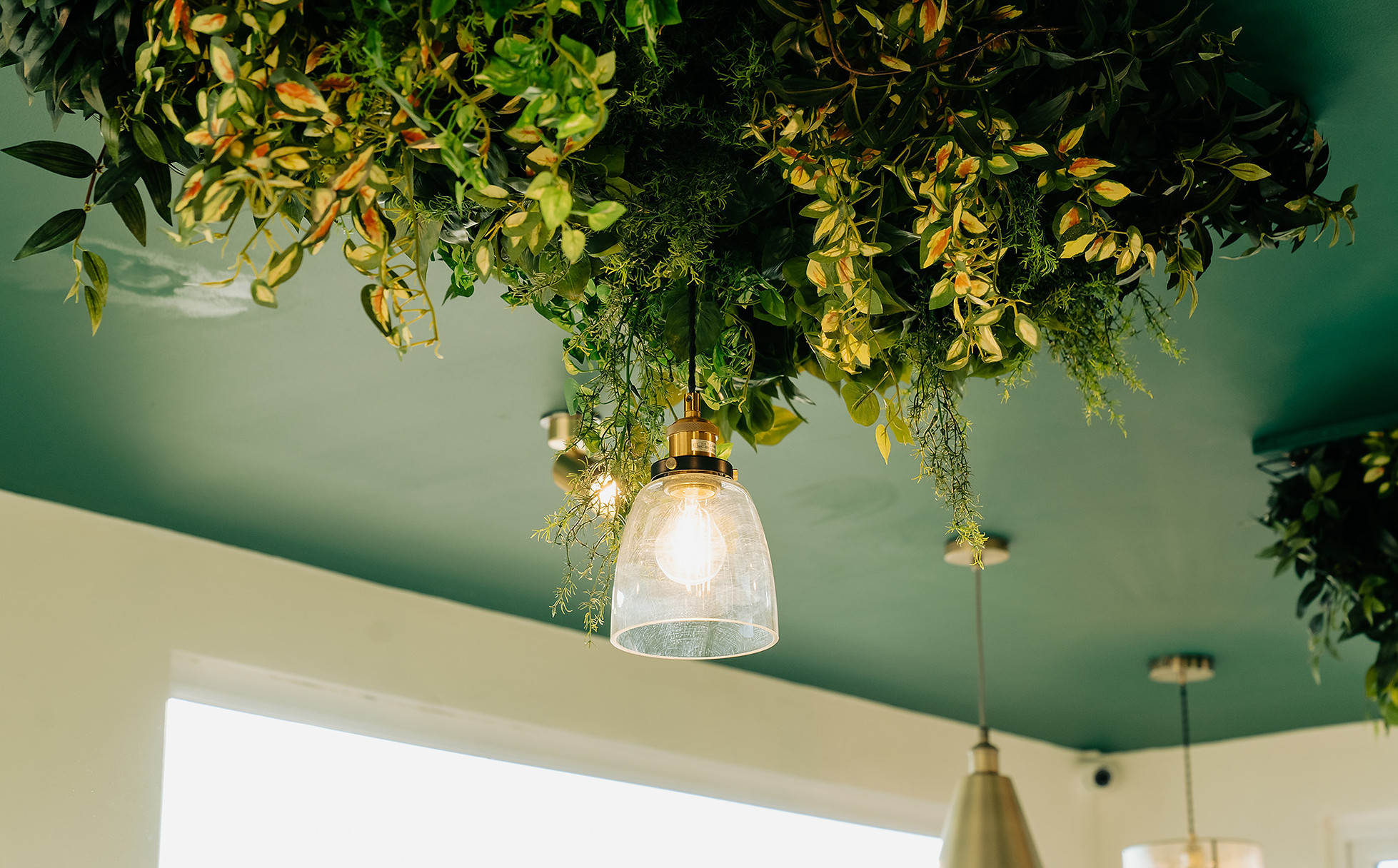 Light fixture with plants above