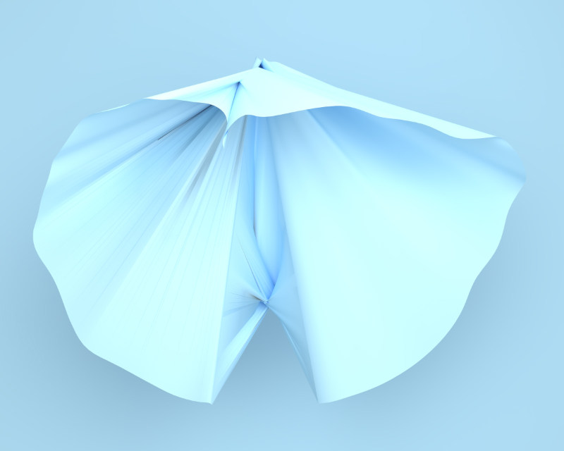 A blue paper shell - artwork by Mick Paulusma