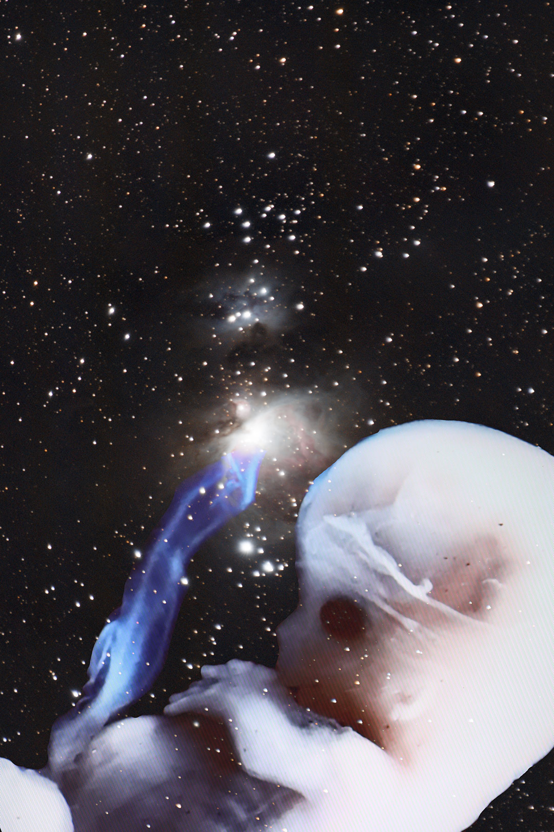 Photo of embryo floating in space