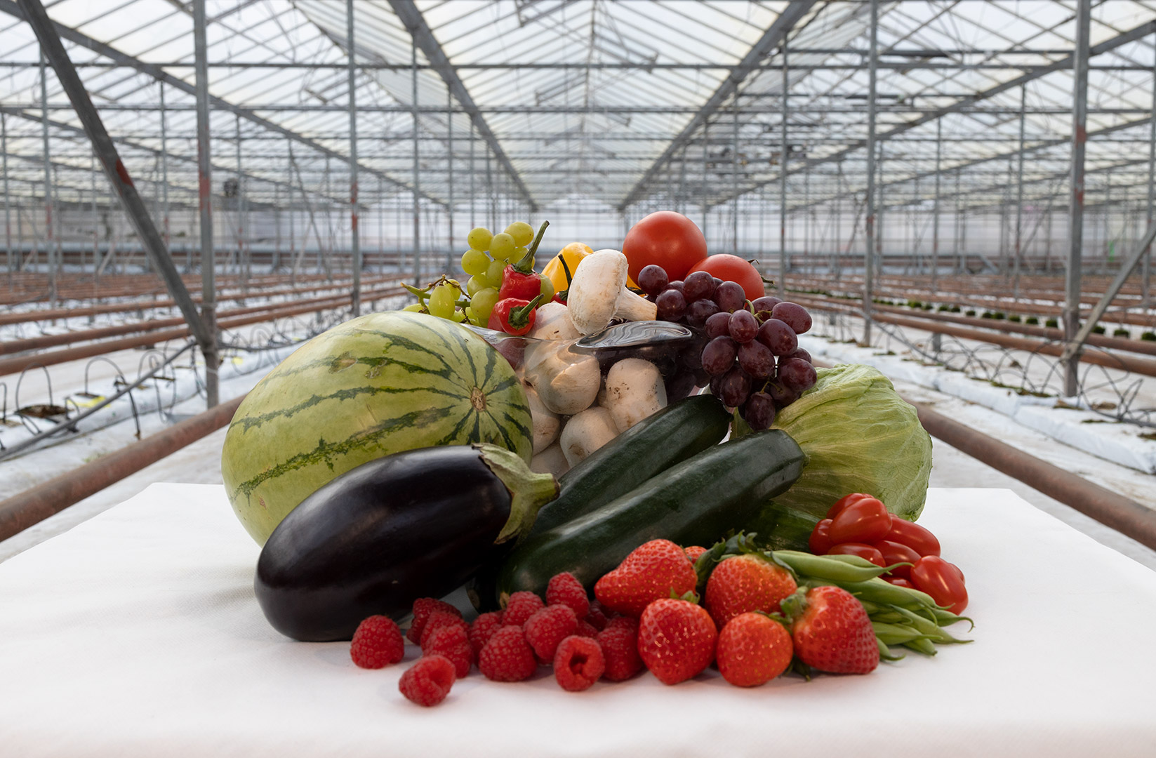 Photo of fresh fruit on table in empty greenhouse