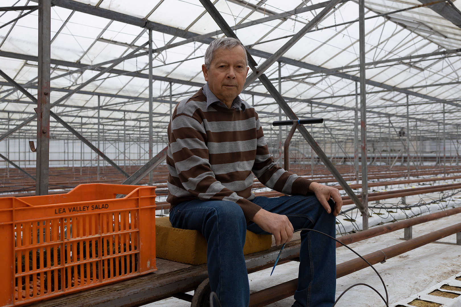 Photo of man sitting in empty greenhouse