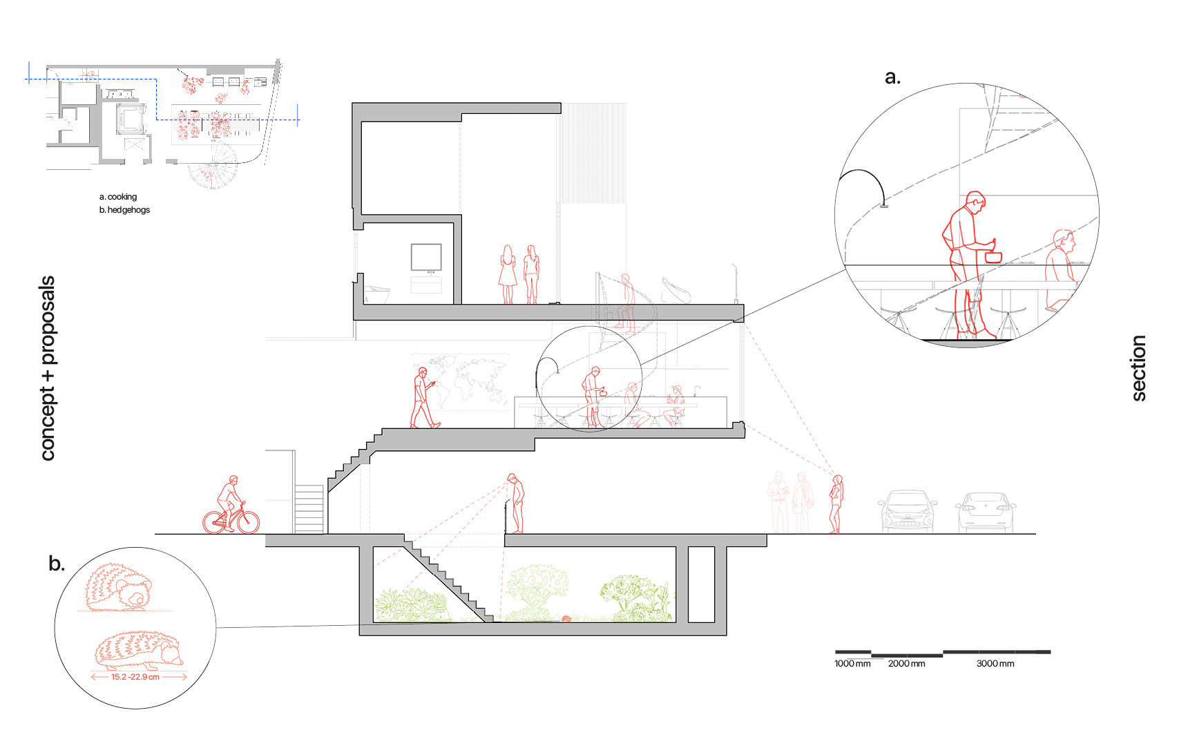 Cross-section plan for building