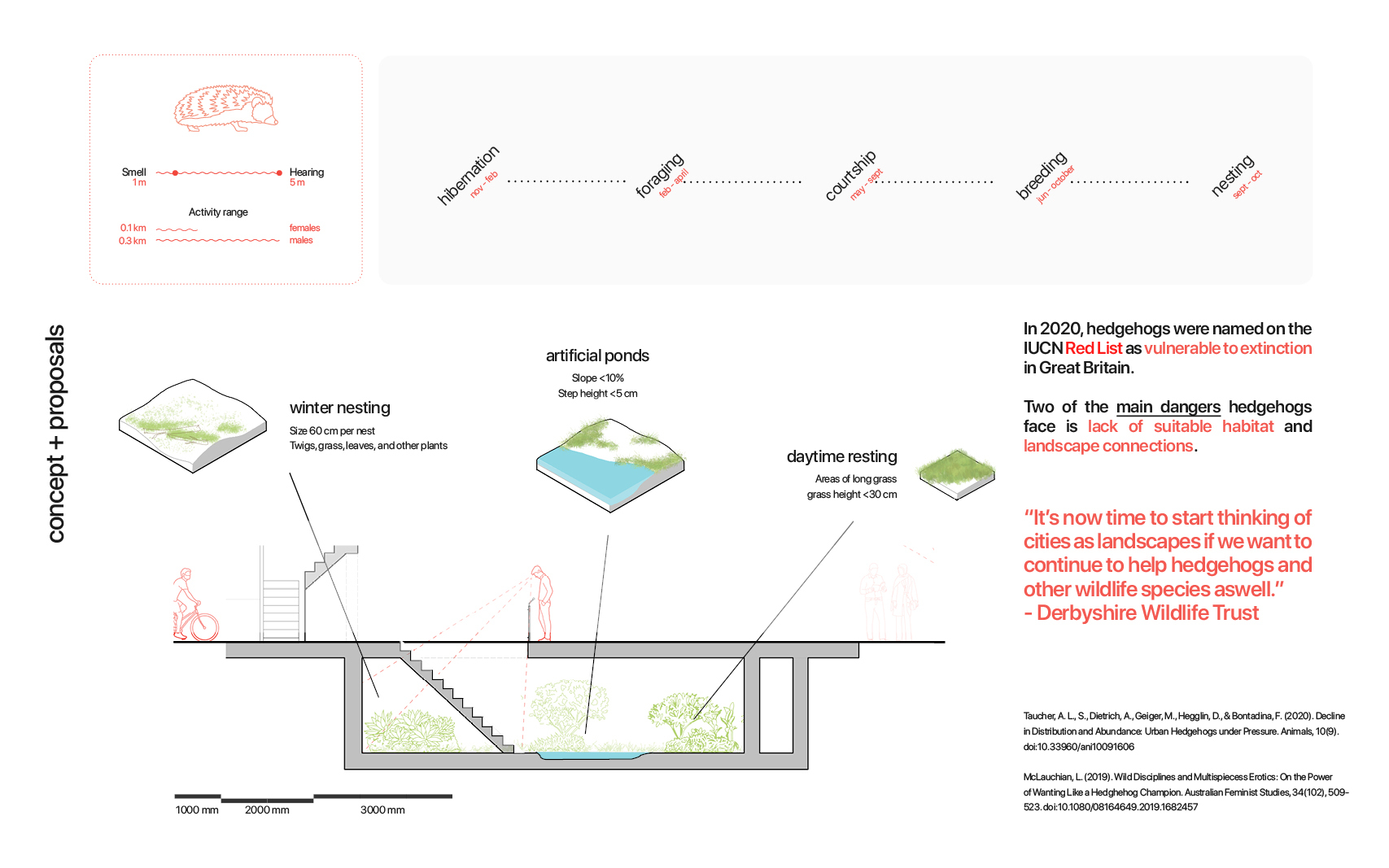 Cross-section design and plan for hedgehog sanctuary