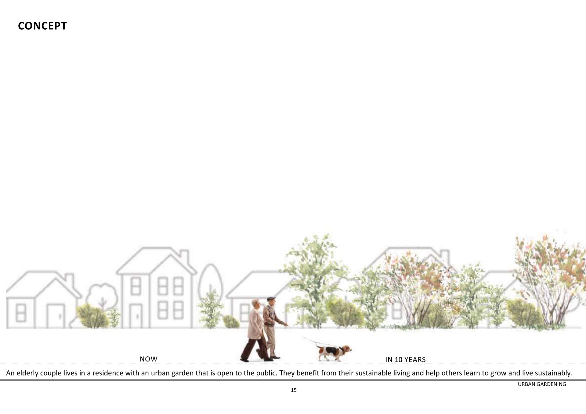 Illustration of elderly couple walking dog down tree-lined street