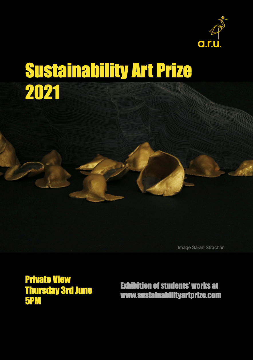 Sustainability Art Prize 2021 poster.
