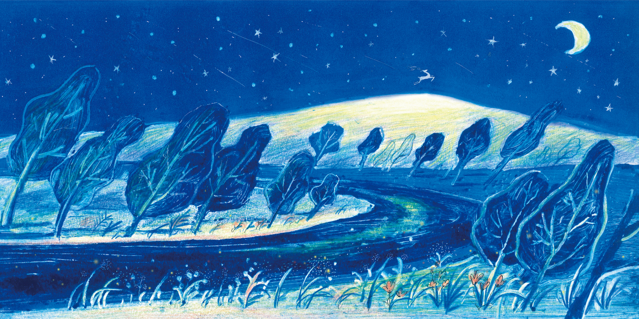 Illustration of river lined by trees at night