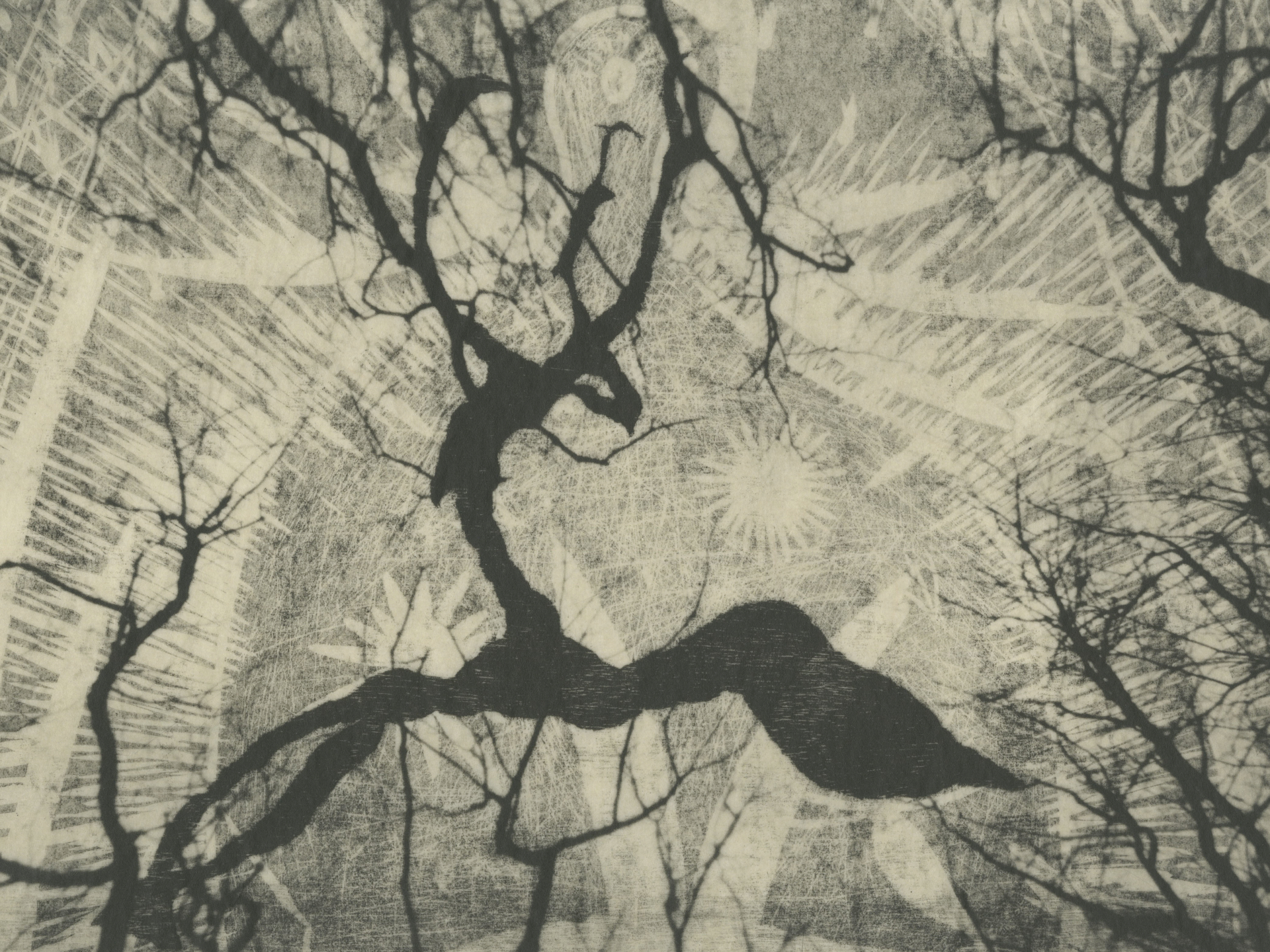 Black and white print of tree-like forms