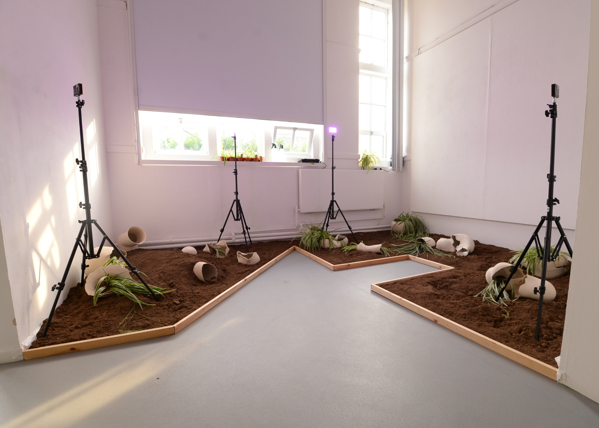 Soil covered in plaster body parts and tripod lights in studio